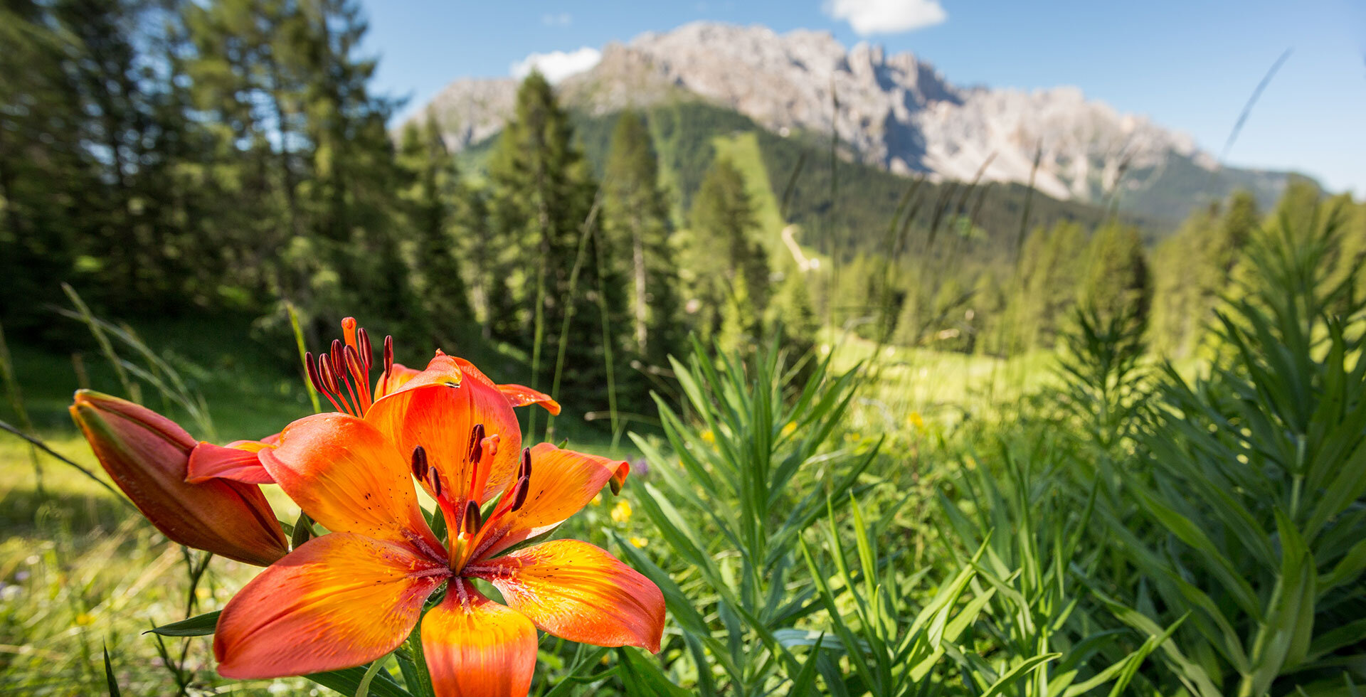 Wandern Deutschnofen Dolomiten